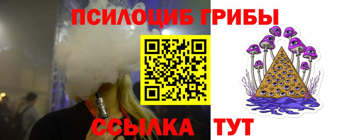 где продают   Вход с VPN  Ртищево  Псилоцибиновые грибы MAGIC MUSHROOMS 
